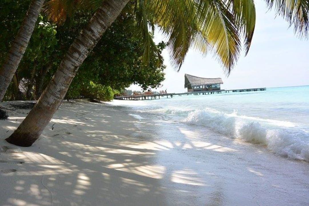 20 Meter vor der Bungalow-Tür Kuramathi Maldives
