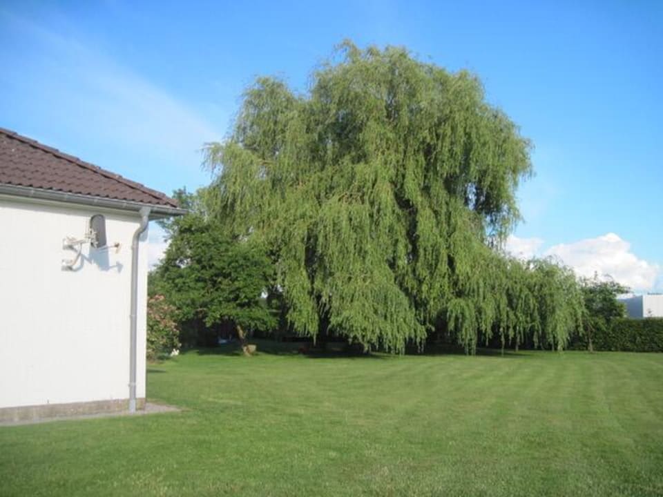 Gartenanlage Landhaus Sylvia in Eupen, Terrasse , Garten & Nähe zum Hohen Venn
