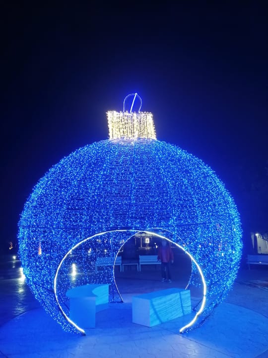 Sonstiges Desert Rose