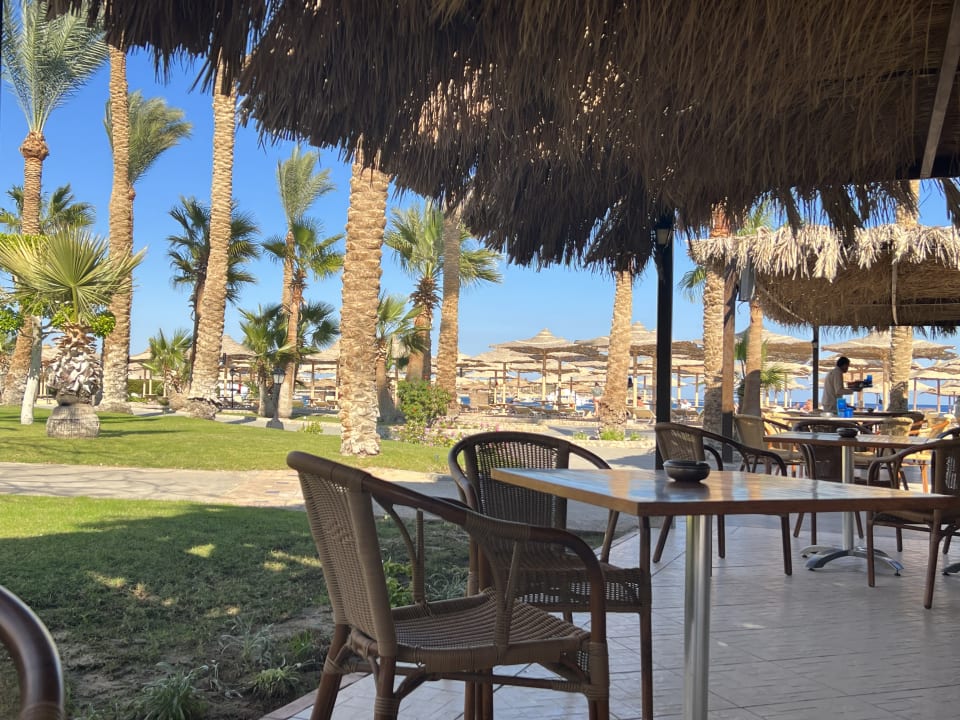 Gastro Jaz Makadi Oasis Resort