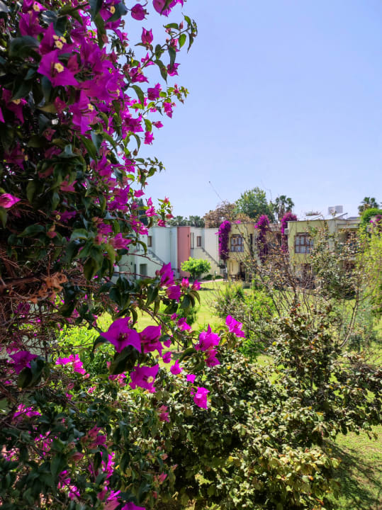 Außenansicht VONRESORT Golden Beach