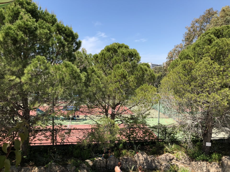 Sport & Freizeit Crystal Sunset Pearl Collection