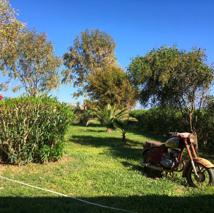 Gartenanlage Club Turtas Beach Hotel