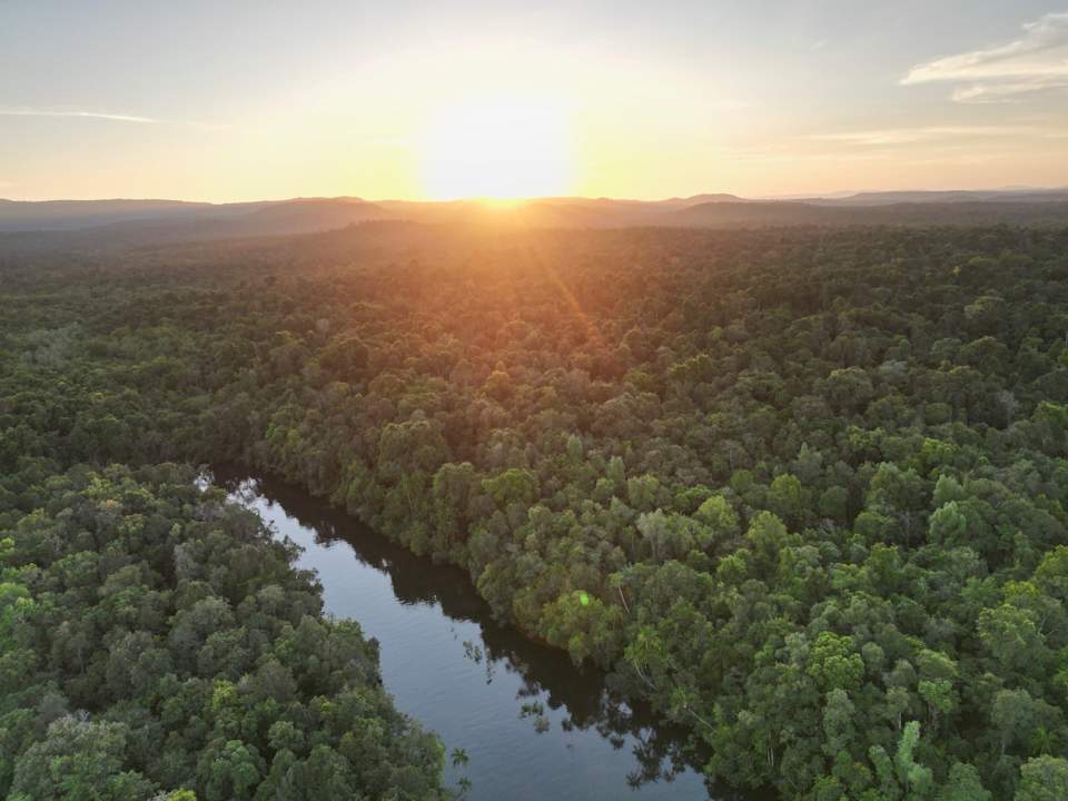 Ausblick Cardamom Tented Camp