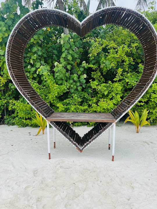 Strand Summer Island Maldives