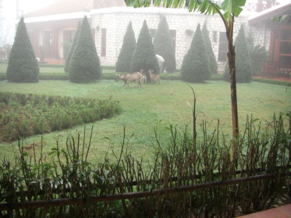 Blick von der Terrasse Victoria Sapa Resort & Spa