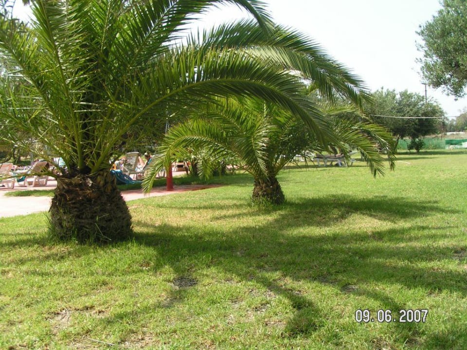 Hotel-Garten Marianna Palace Hotel