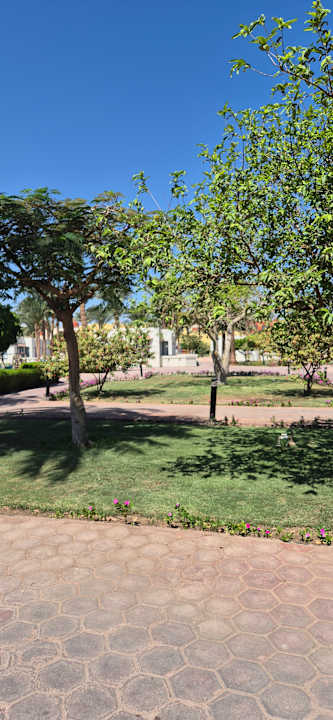 Gartenanlage Pharaoh Azur Resort
