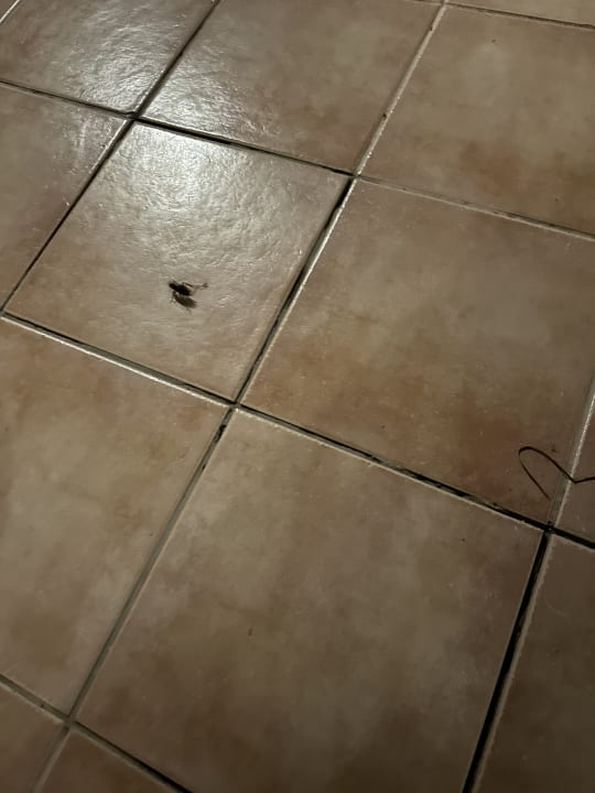 Sonstiges Club Hotel Drago Park