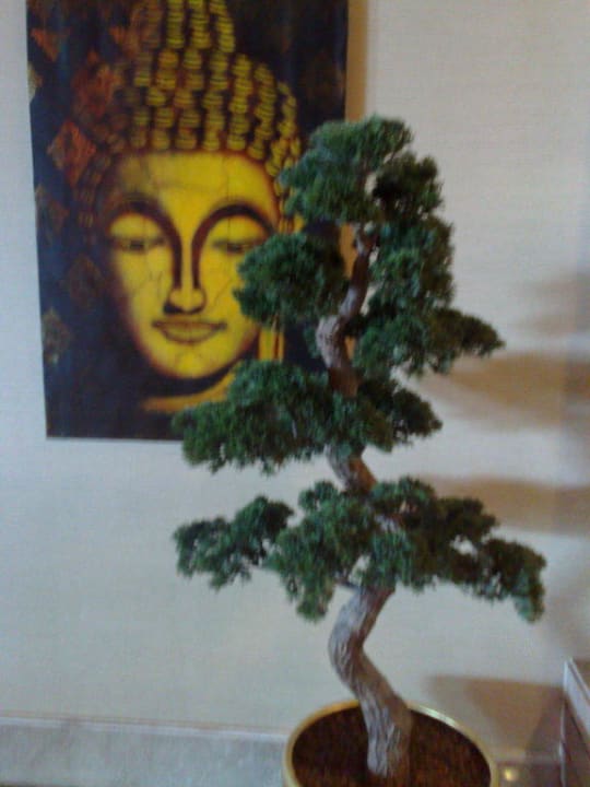 Bonsai Hotel Royal Dragon