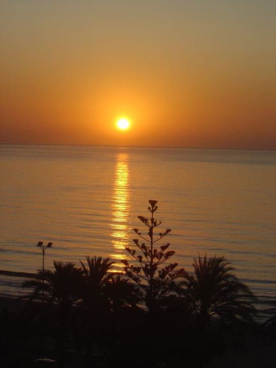 Ausblick dank östliche ausgerichteter Strand! Hotel Biniamar
