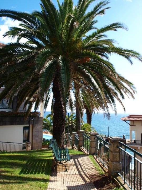 Tolle Pflanzen  Hotel The Cliff Bay (PortoBay)