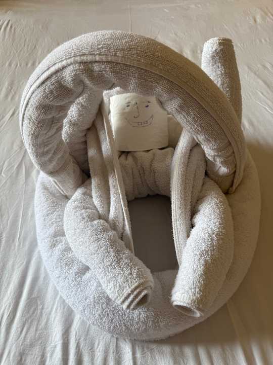 Zimmer Coral Hills Resorts & SPA