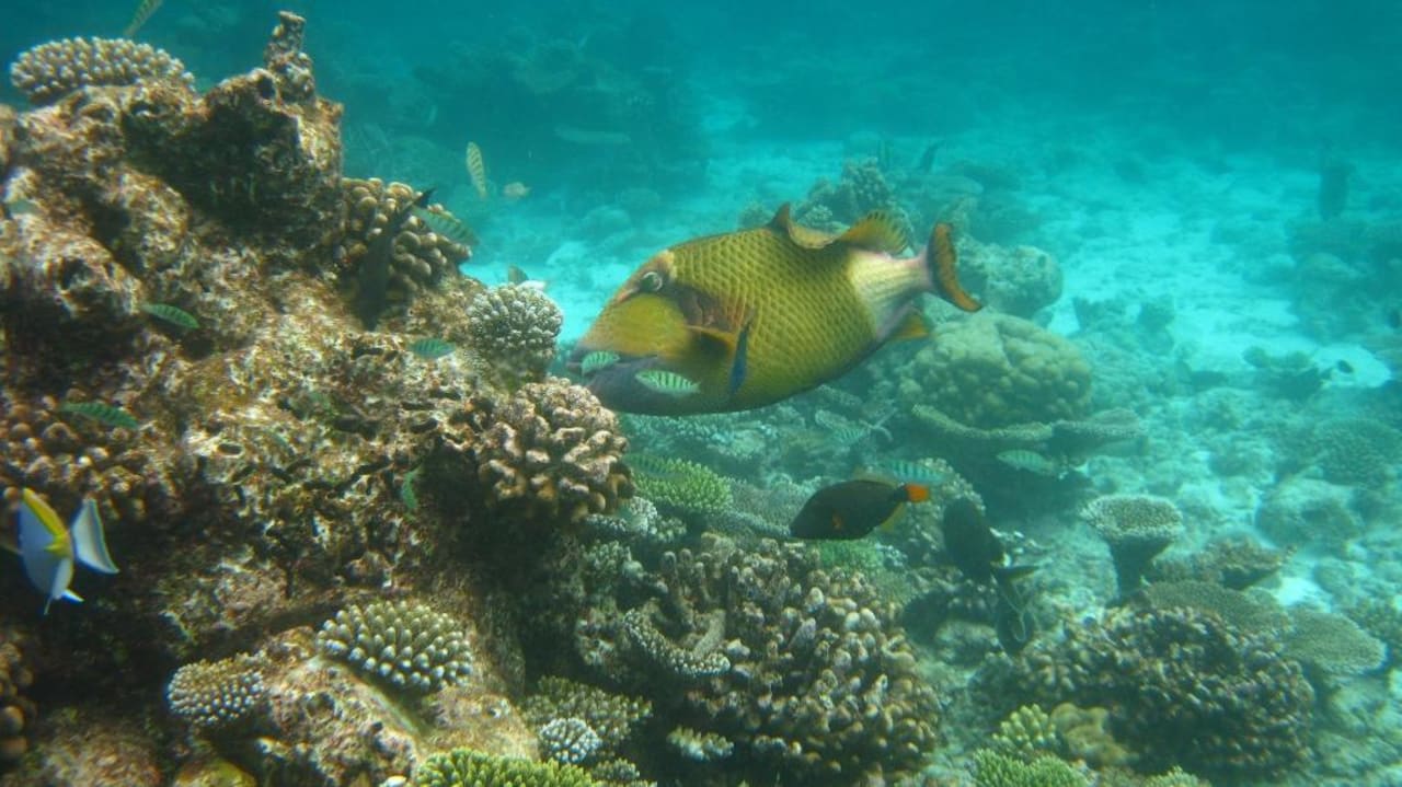 Riff Thulhagiri Island Resort Thulhagiri Island Resort