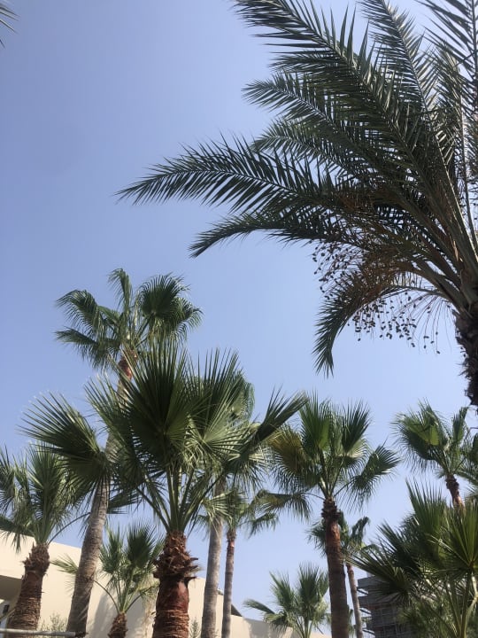 Gartenanlage Oscar Resort Hotel