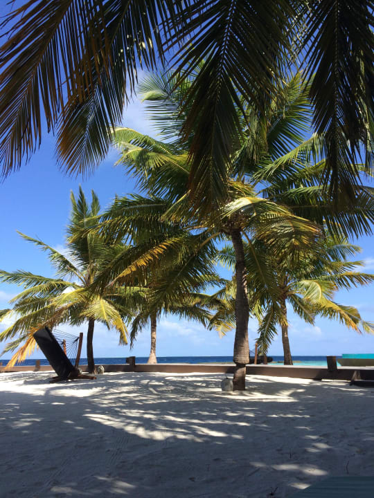 Postkartenmotiv Coco Bodu Hithi