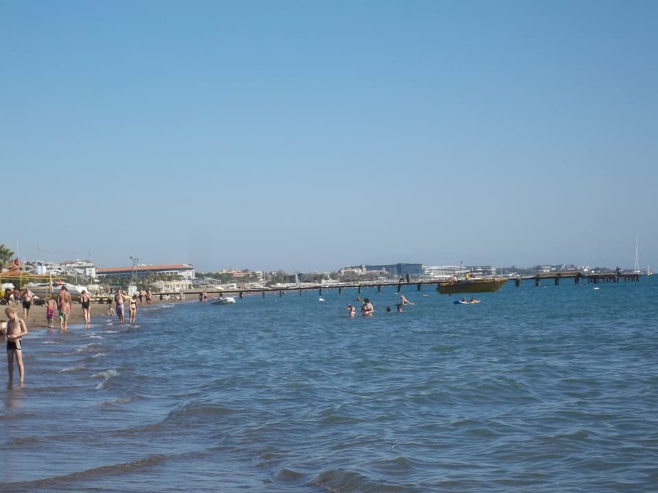 Fein sandig Papillon Belvil