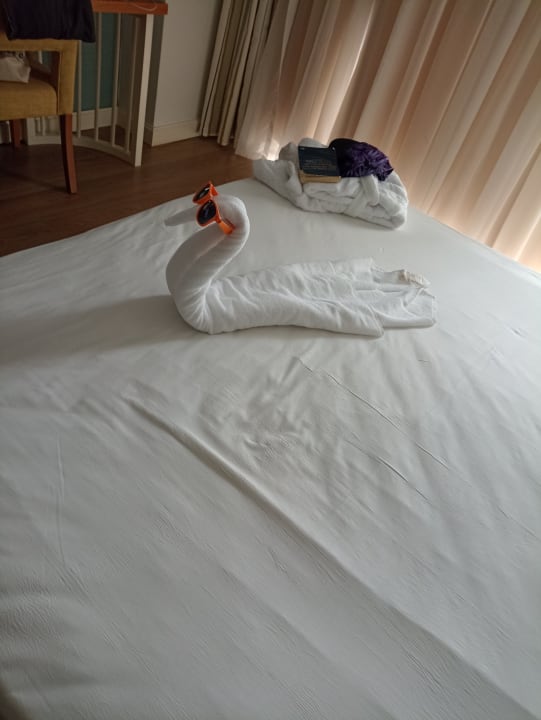 Zimmer Well Palace Side