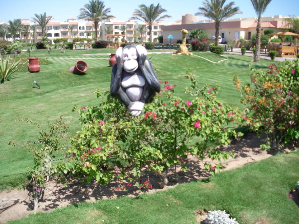 Gartenanlage Dana Beach Resort Pickalbatros Dana Beach Resort - Hurghada