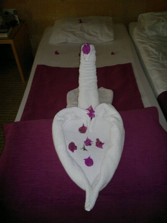 Deko- und Falkunst Sealife Buket Resort & Beach