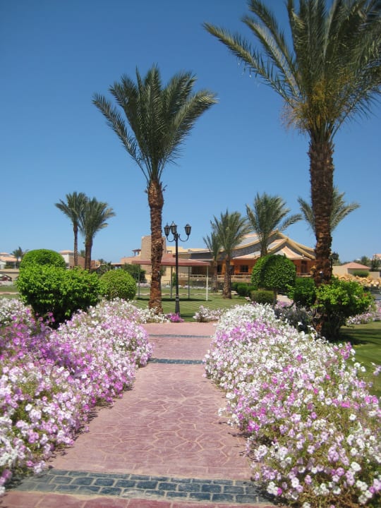 Abends lag ein Vanille-Duft über der Anlage Pickalbatros Dana Beach Resort - Hurghada