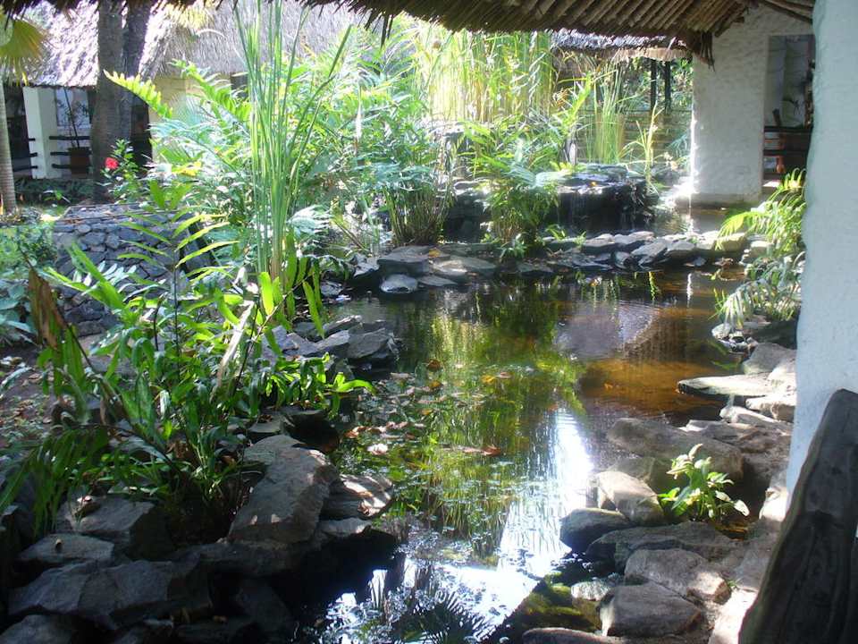 Teich bei der Lobby Hotel Southern Palms Beach Resort