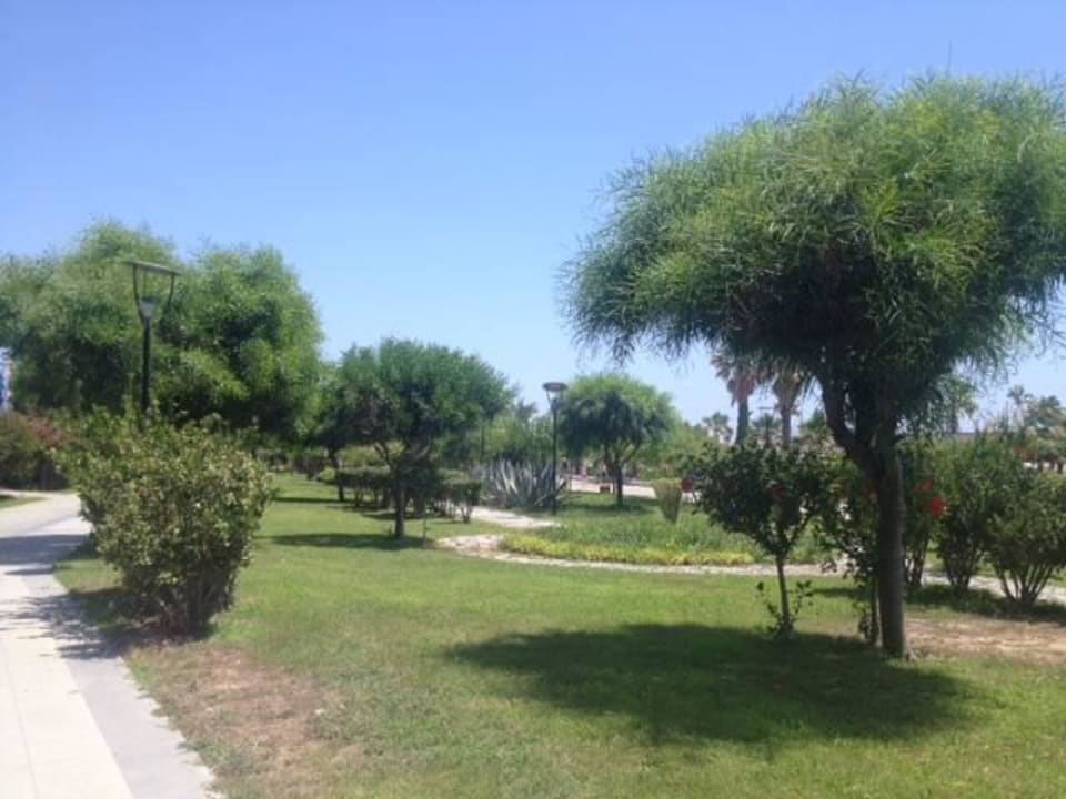 Landscape around the beach club Palm World Side Resort & Spa
