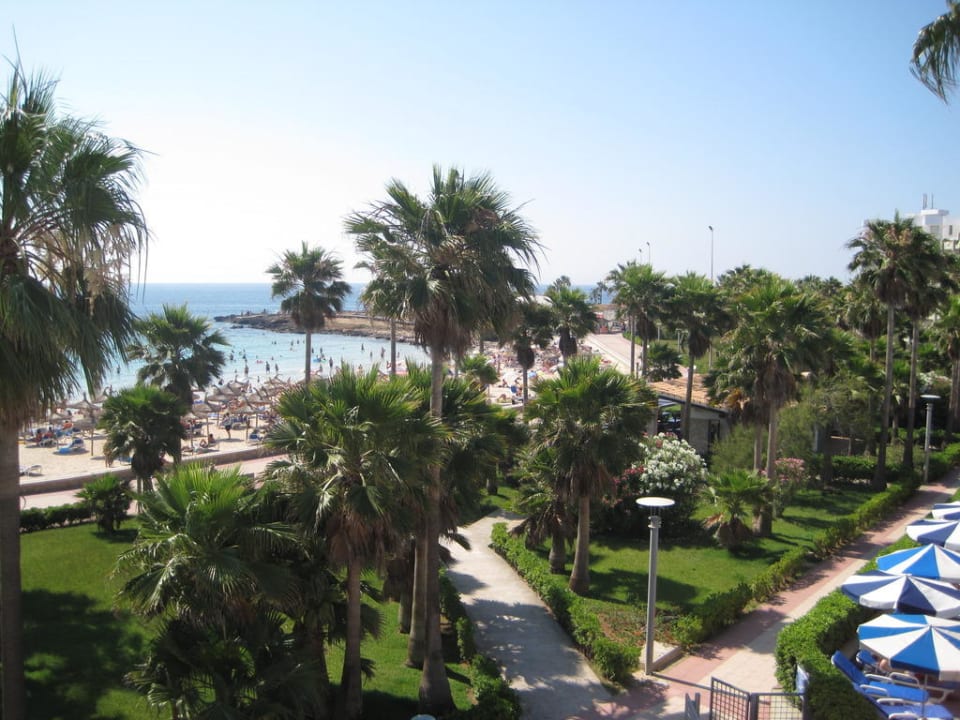 Ausblick vom Hotel zum Strand Hipotels Mediterraneo