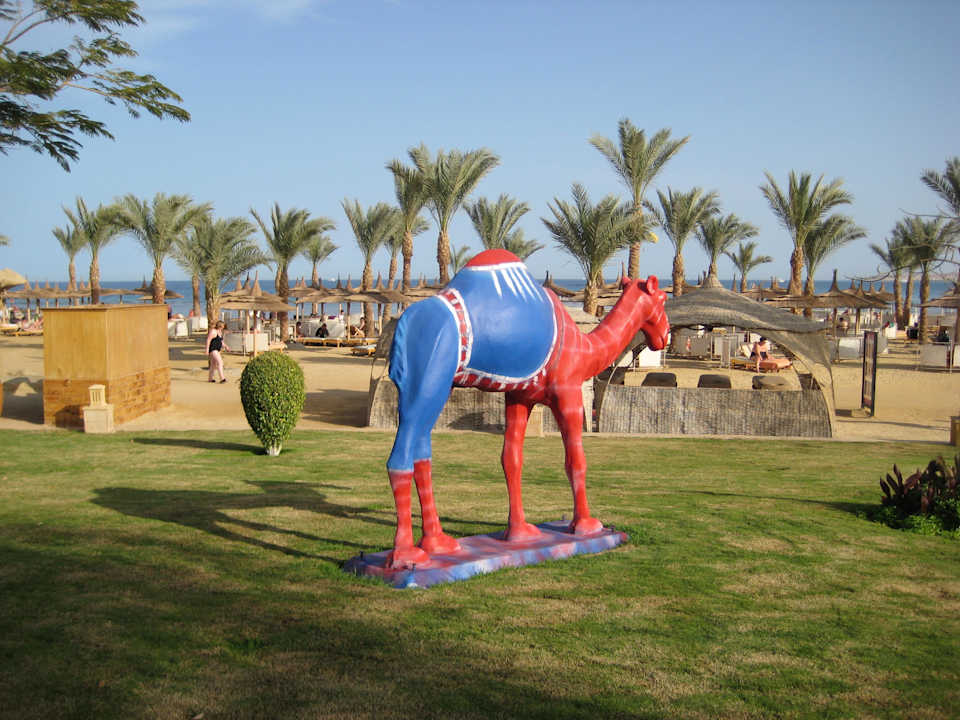 Das rote Kamel Pickalbatros Palace Resort
