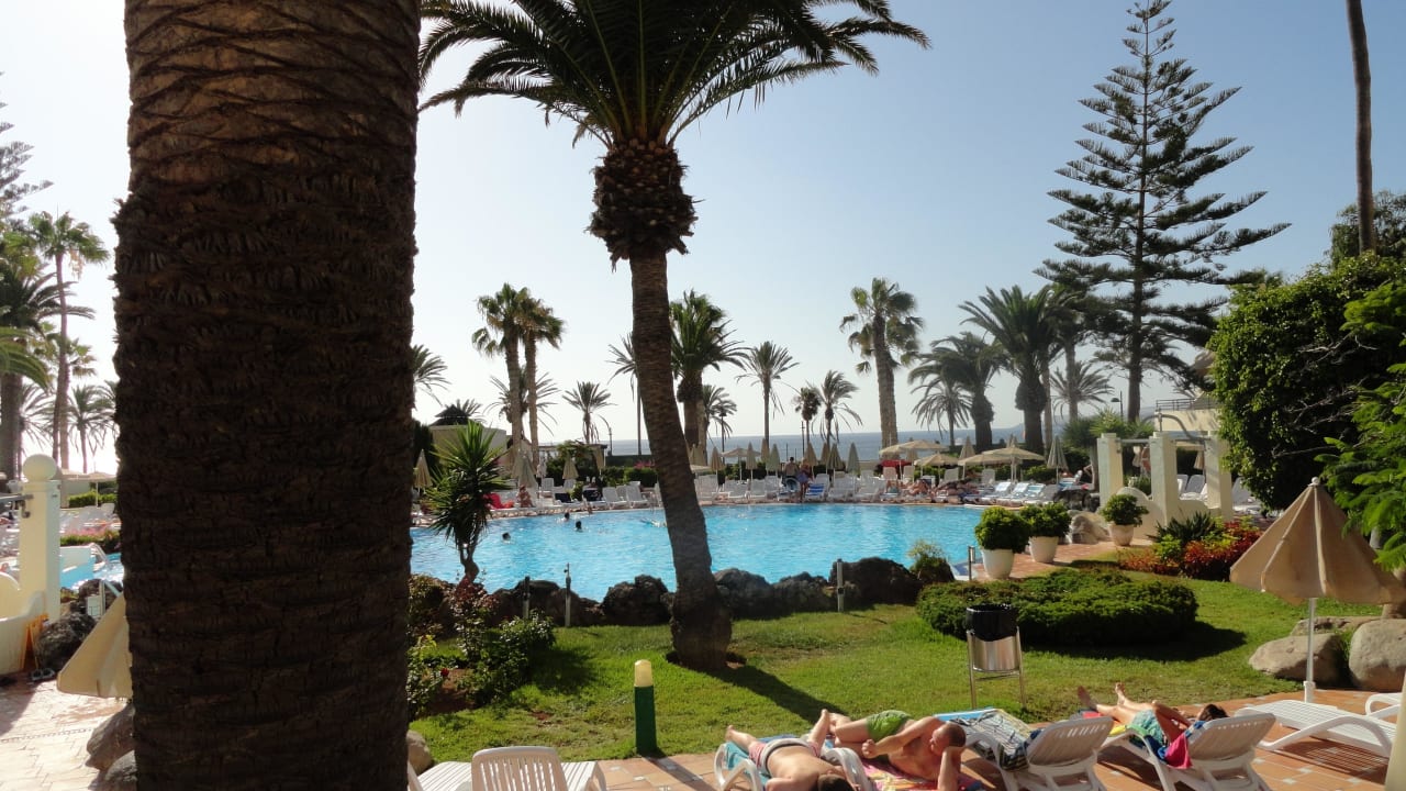 Hôtel H10 Las Palmeras - La Piscine 2014 H10 Las Palmeras