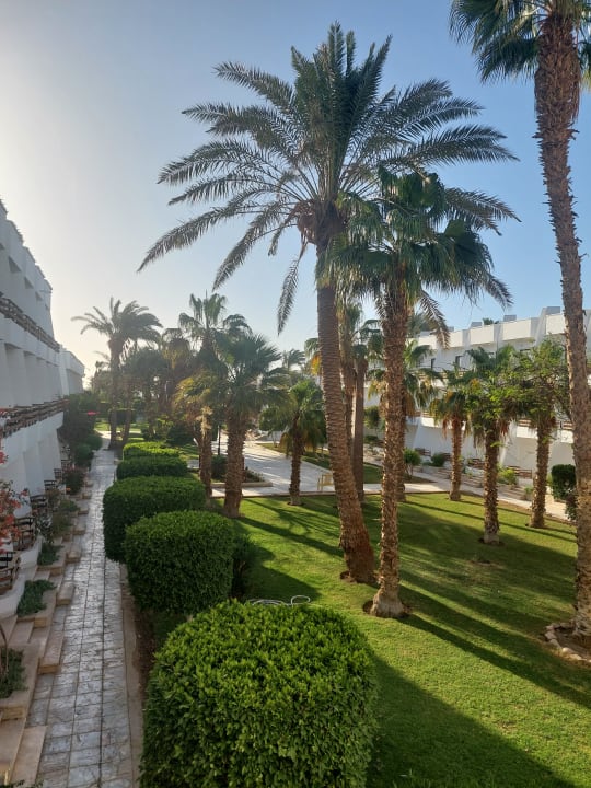 Ausblick The Grand Hotel Hurghada