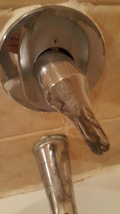 Zimmer Ghazala Gardens