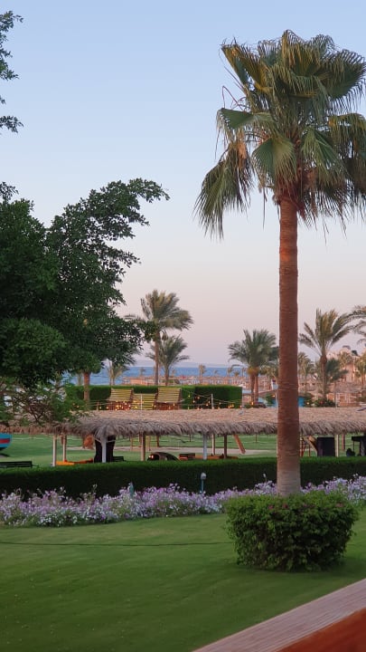 Gartenanlage Desert Rose