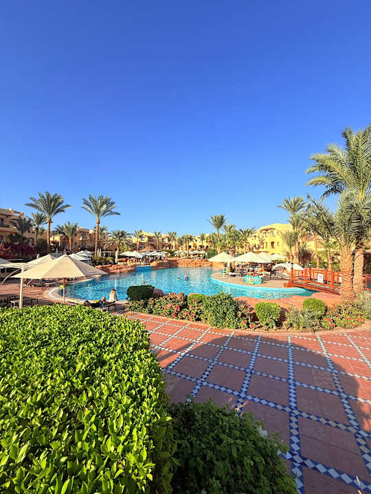 Pool Steigenberger Coraya Beach - Adults only