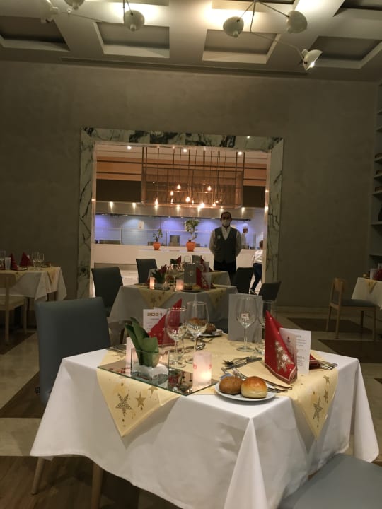 Gastro Acanthus Cennet Barut Collection