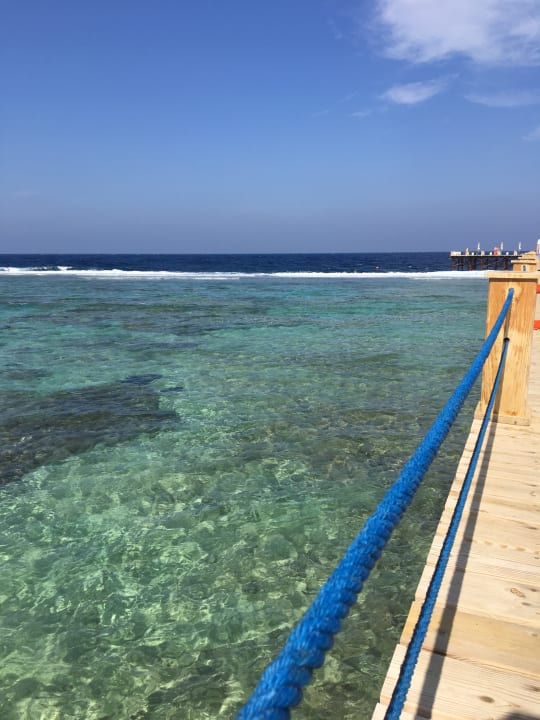 Strand Pickalbatros Sea World Resort - Marsa Alam