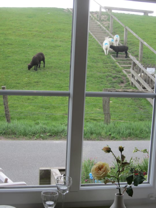 Sonstiges Ferienhaus Hemenswarft direkt an der Nordsee mit Meerblick