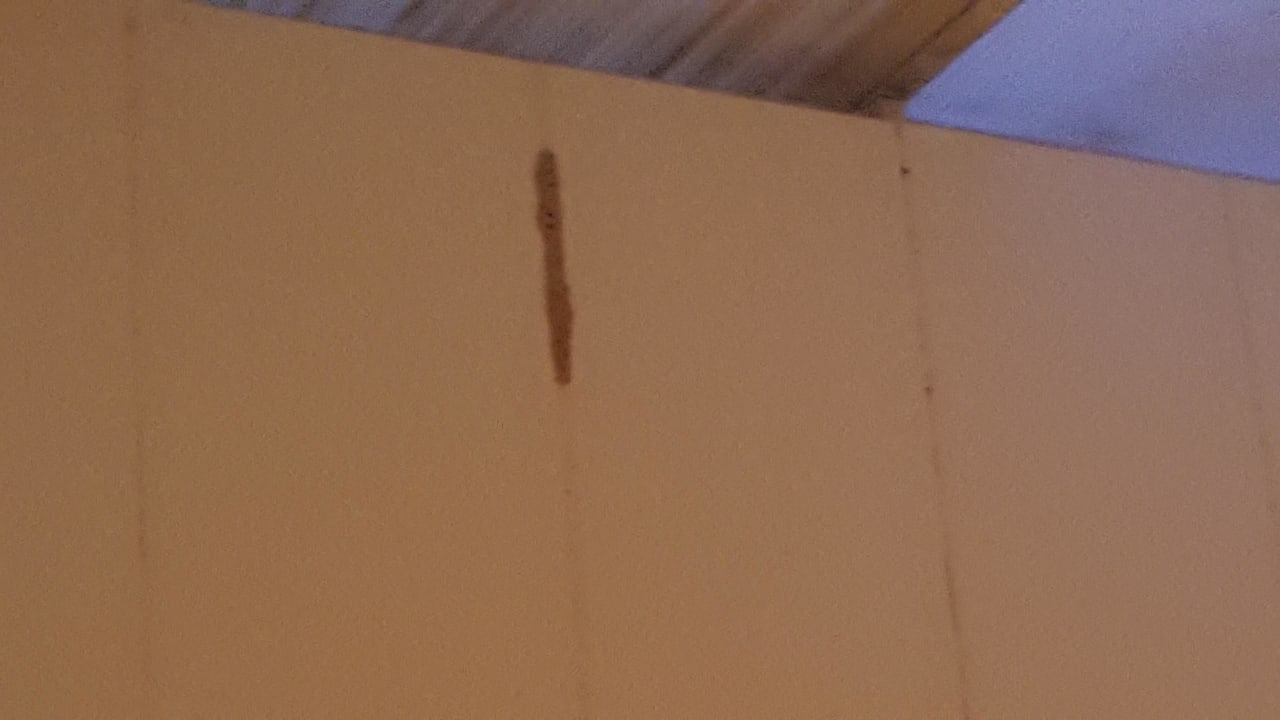 Insektenbau SBH Costa Calma Beach Resort