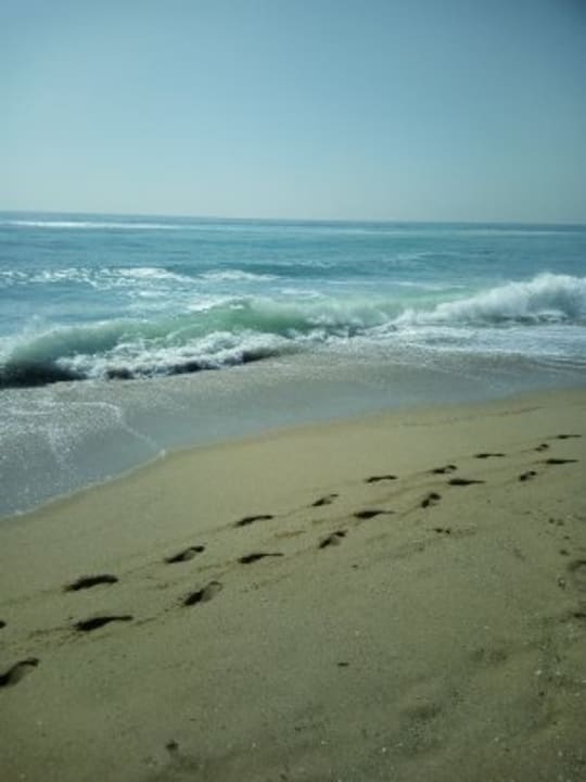 Strand Sentido Marea