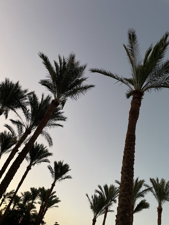 Sonstiges Makadi Spa - Adults only