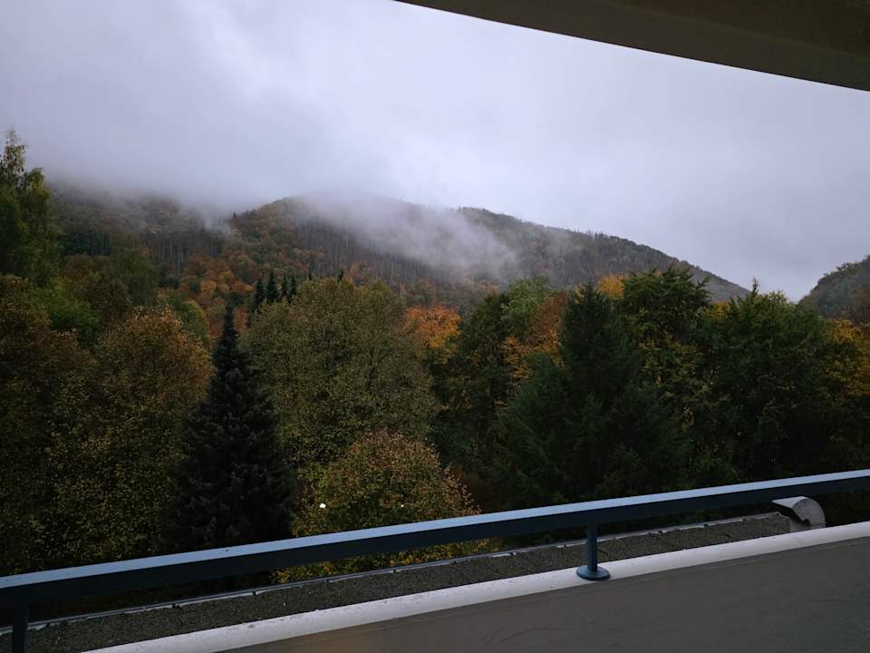 Ausblick Panoramic - Ihr Apartmenthotel im Harz