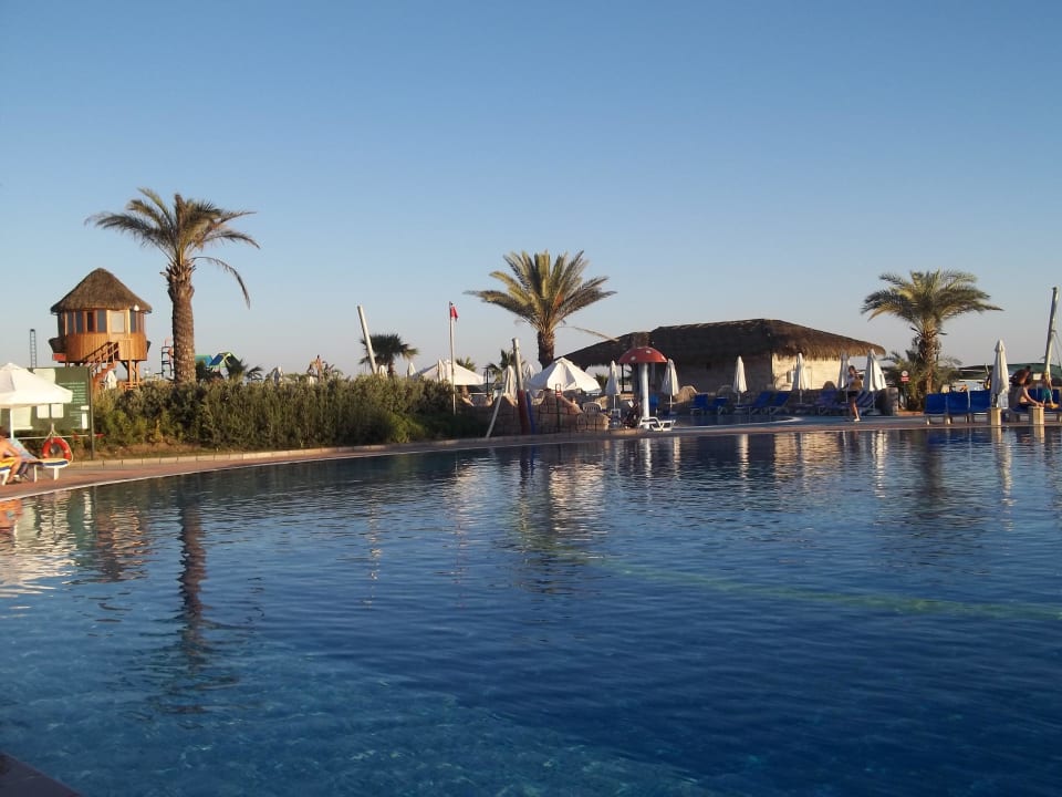 Hauptpool Papillon Belvil