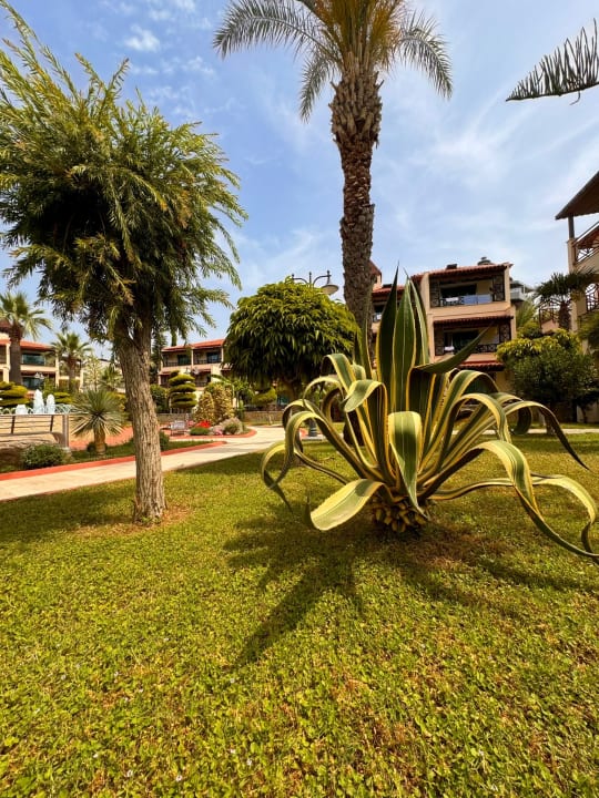 Gartenanlage Saphir Hotel & Villas