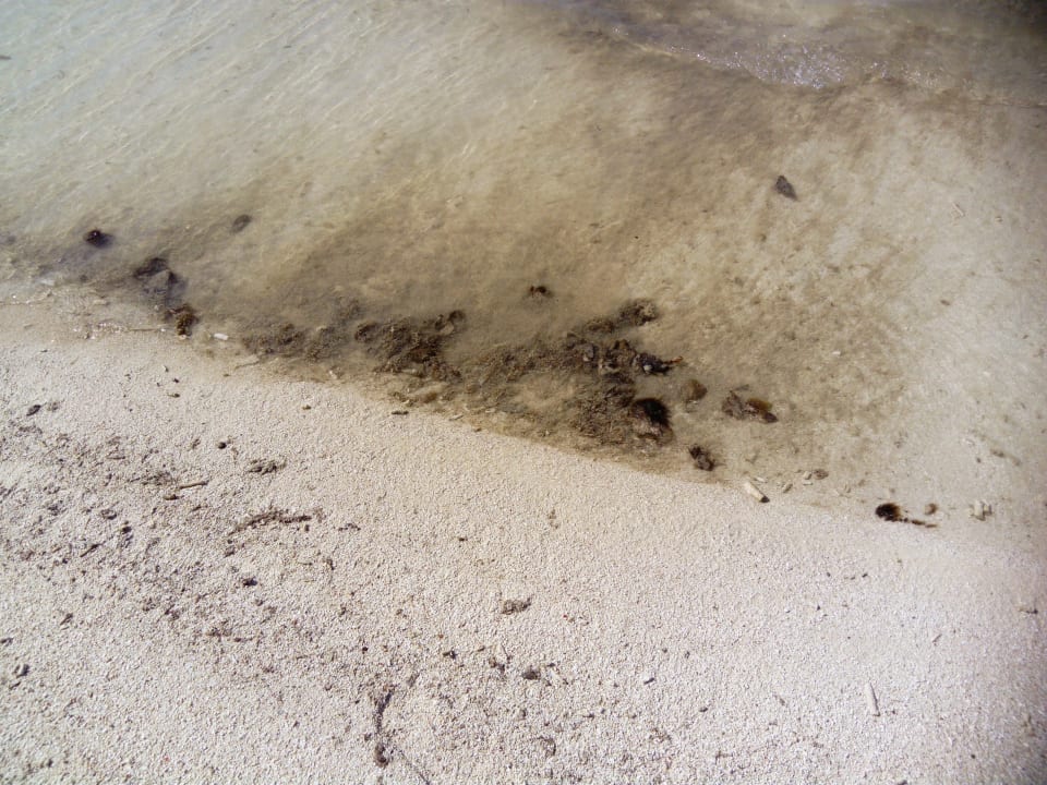 Strand Adaaran Select Meedhupparu Island Resort - Premium All Inclusive