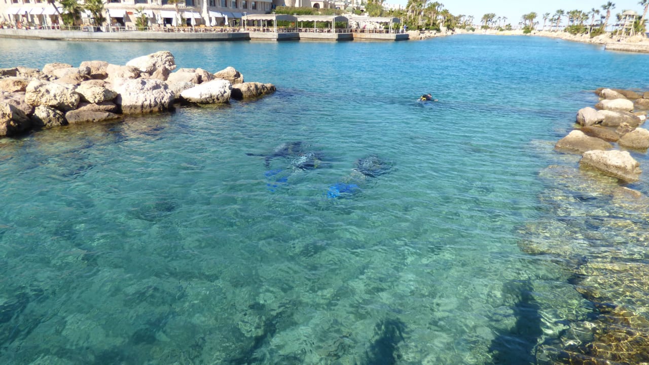 Hafen und Meerwasserpool Pickalbatros Citadel Resort