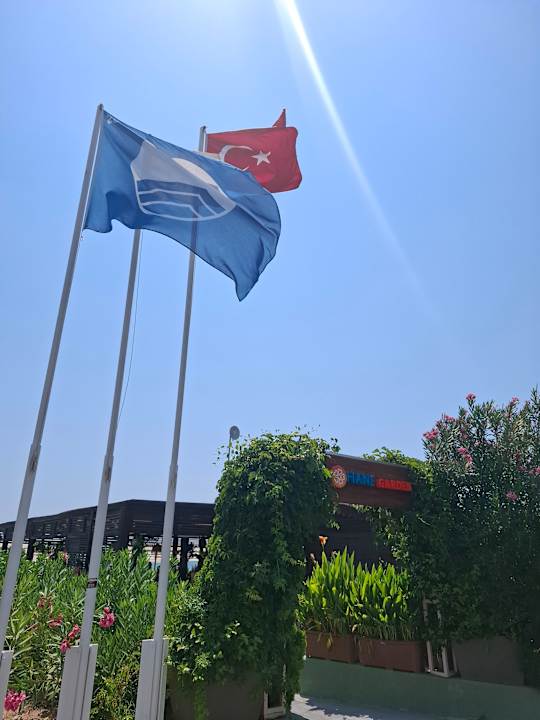 Strand Calimera Hane Garden