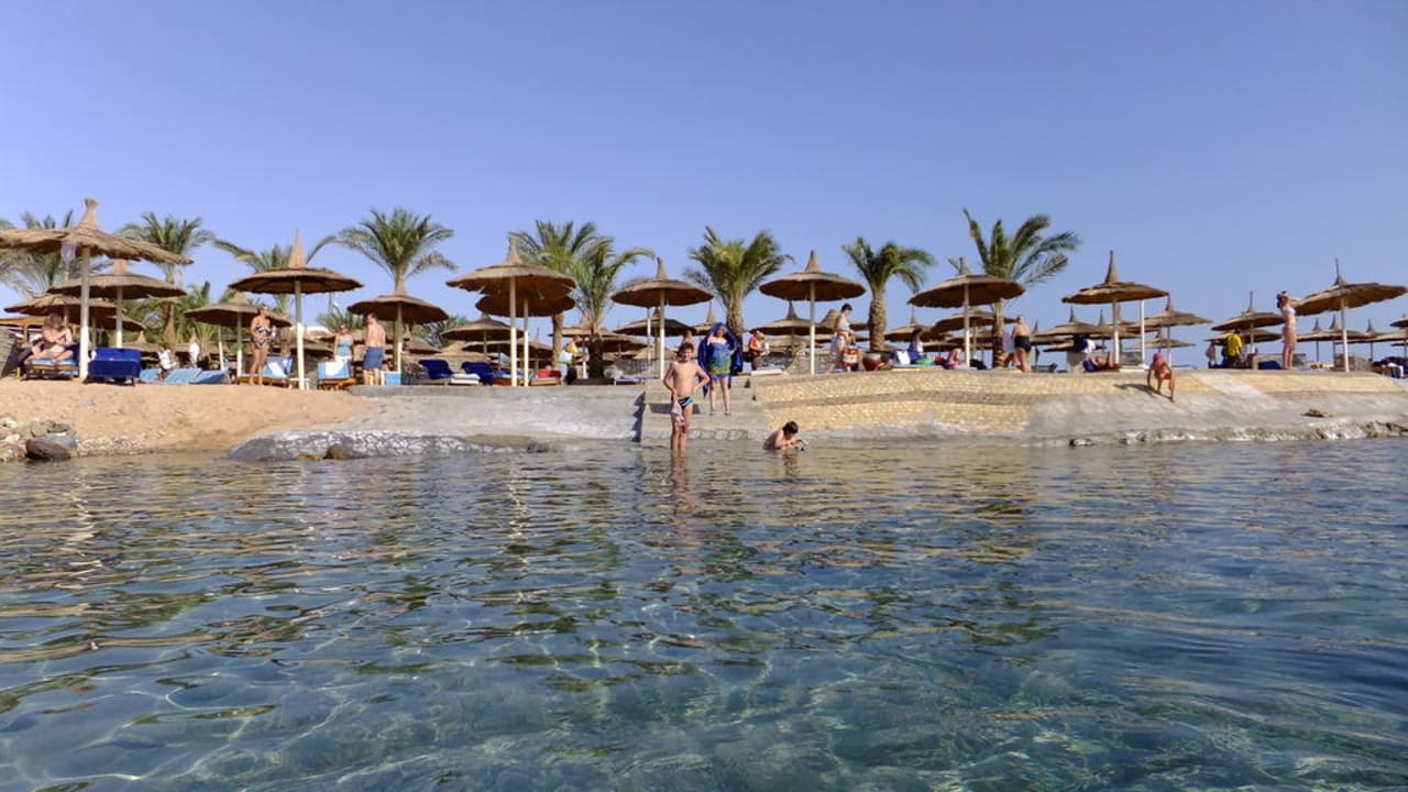 Пляж Beach Albatros Resort