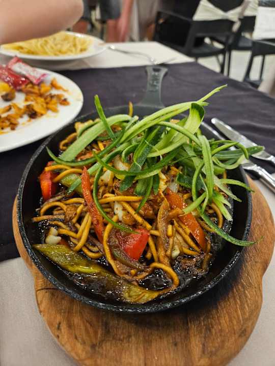 Gastro Seashell Vega