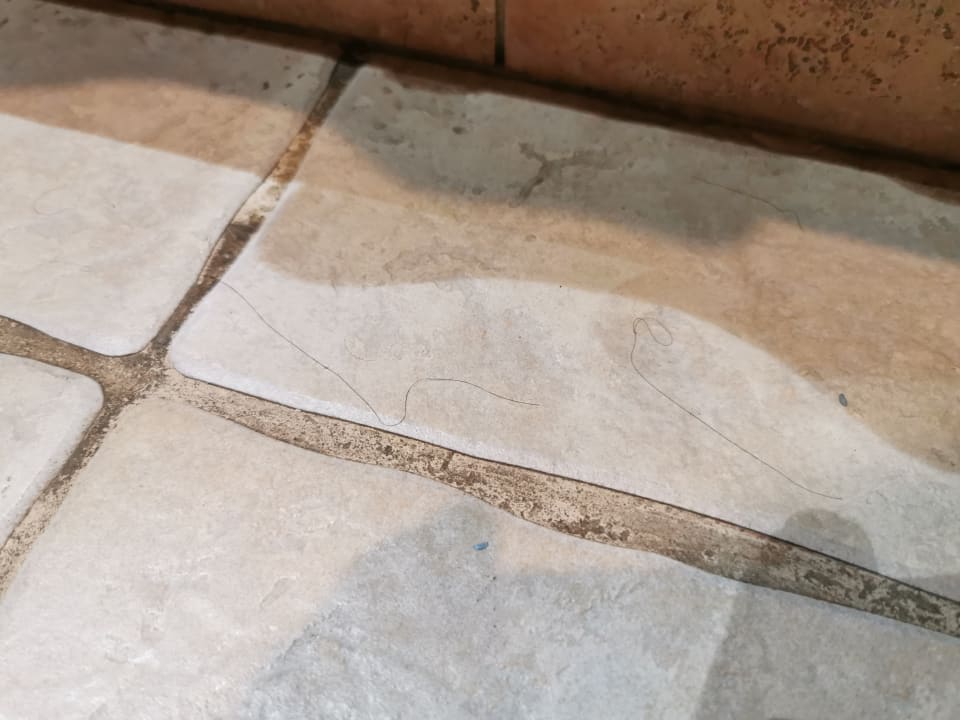 Zimmer Occidental Jandía Royal Level - Adults only