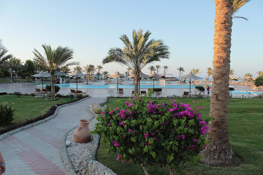 Ogród i przejście do basenu Three Corners Sea Beach Resort